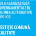 Voluntariat în îngrijirea copiilor