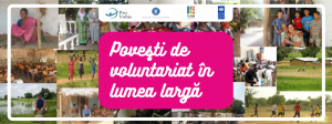 Read more about the article Povești de voluntariat din lumea largă