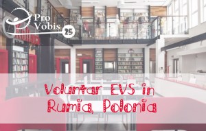 Read more about the article EVS – „Culture Station” – Rumia, Poland