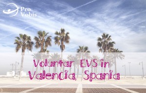 Read more about the article EVS – „Supporting Learning Communities” – Valencia, Spania