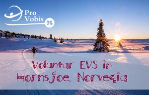 Read more about the article EVS – “Make a Difference – Be a Best Buddy!” – Norvegia