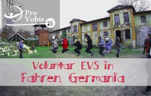 Read more about the article EVS – Fahren, Germania