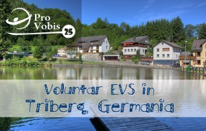 Read more about the article EVS – Triberg, Germania