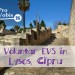 Short Term EVS – World Wide Village – Cipru