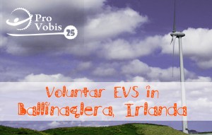 Read more about the article EVS – Good Energies Publicity – Ballinaglera, Irlanda