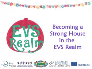 Read more about the article Primul training în cadrul proiectului EVS Realm