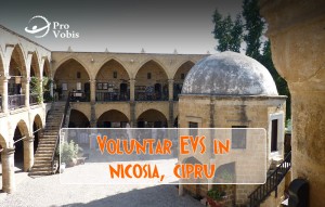 Read more about the article EVS – Living History – Nicosia, Cipru