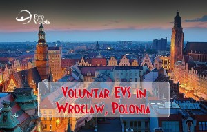 Read more about the article EVS – Volunteering is Sharing – Wroclaw, Polonia