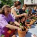 Într-o singură săptămână, peste 5.000 de români au spus DA voluntariatului
