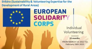 Read more about the article Voluntariat internațional – Italia